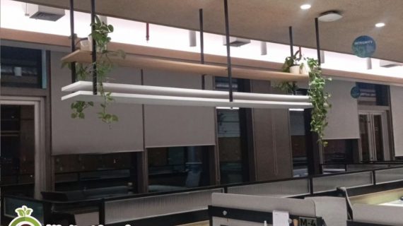 Sewa Tanaman Hias di Jakarta