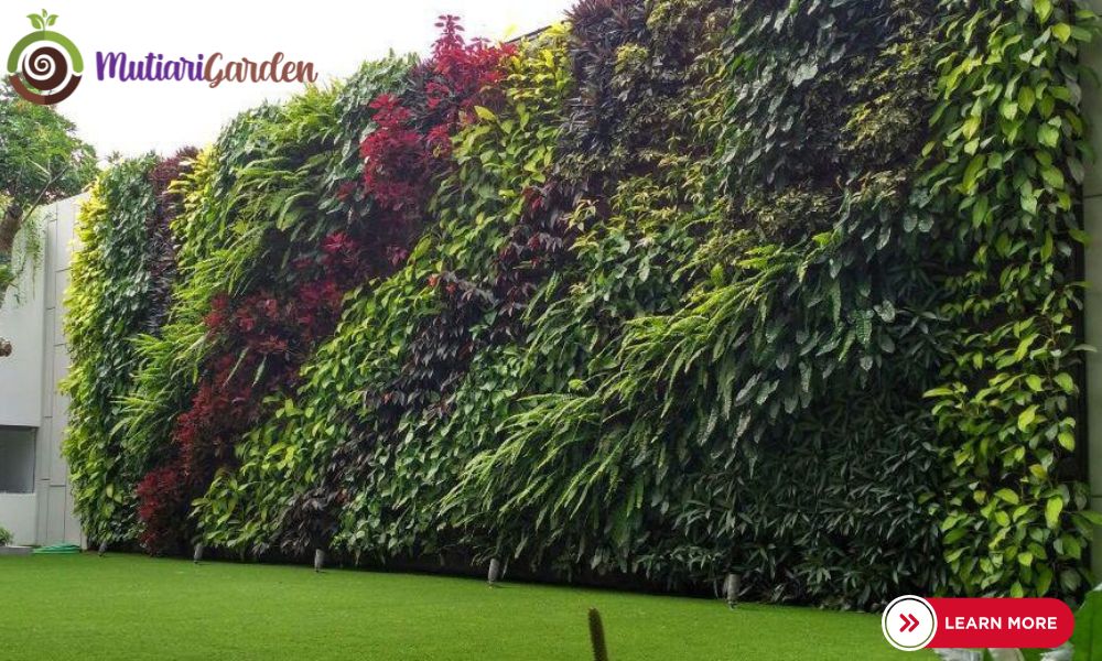 vertical garden