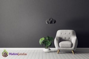 Apakah Bisa Sewa Tanaman untuk Seminar atau Workshop?