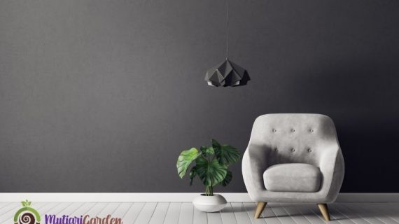Apakah Bisa Sewa Tanaman untuk Seminar atau Workshop?