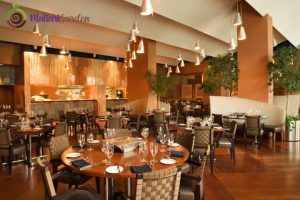 Apakah Restoran Cocok Menyewa Tanaman Hias?