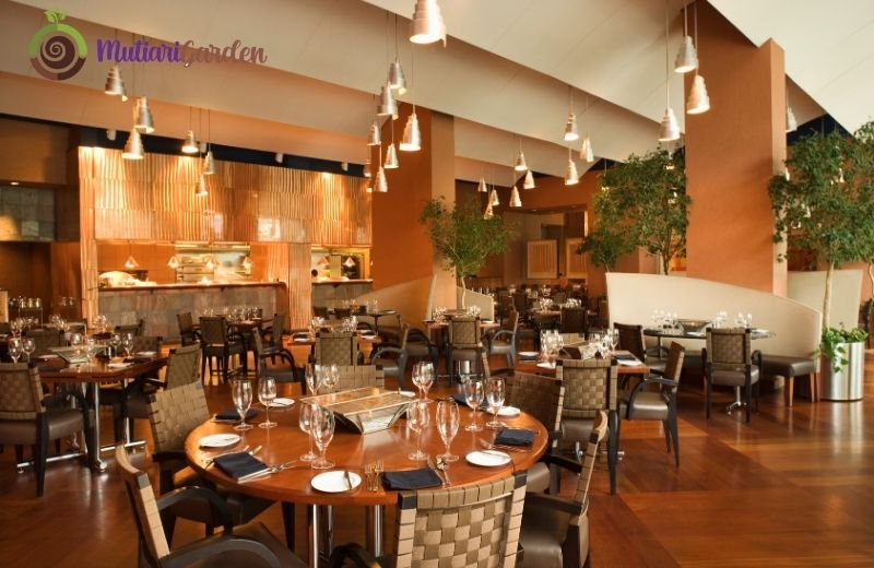 Apakah Restoran Cocok Menyewa Tanaman Hias?