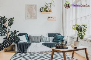 Apakah Rumah Sakit Juga Menyewa Tanaman?