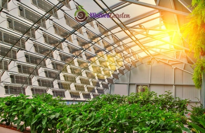 Apakah Sewa Tanaman Bisa Menambah Estetika Ruangan?