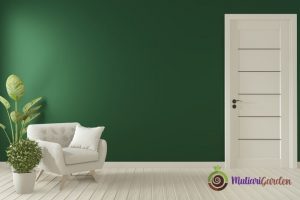 Apakah Tanaman Hias Bisa Memperbaiki Kualitas Udara di Dalam Ruangan?