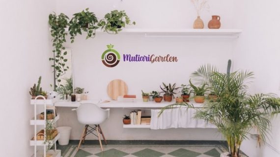 Apakah Vendor Sewa Tanaman Melayani Apartemen?