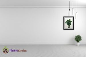 Mengapa Tanaman Hias Penting dalam Desain Interior untuk Ruang Lebih Hidup dan Seimbang