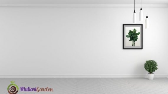 Mengapa Tanaman Hias Penting dalam Desain Interior untuk Ruang Lebih Hidup dan Seimbang