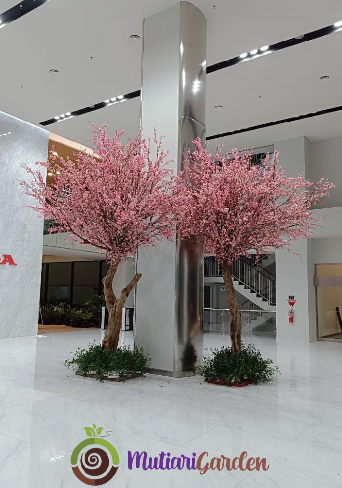 sewa pohon sakura