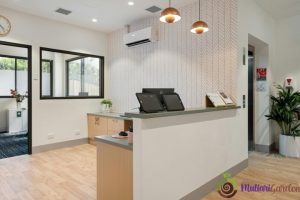 Jenis-Jenis Tanaman Indoor yang Cocok untuk Dekorasi dan Udara Sehat