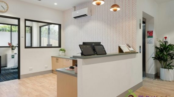 Jenis-Jenis Tanaman Indoor yang Cocok untuk Dekorasi dan Udara Sehat