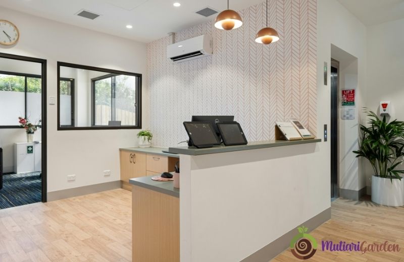 Jenis-Jenis Tanaman Indoor yang Cocok untuk Dekorasi dan Udara Sehat