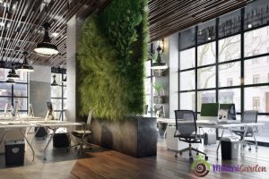 Panduan Memilih Tanaman Indoor dan Sewa Tanaman Hias Indoor dari Mutiari Garden