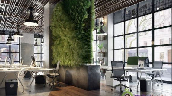 Panduan Memilih Tanaman Indoor dan Sewa Tanaman Hias Indoor dari Mutiari Garden