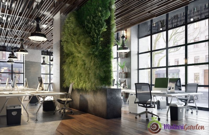 Panduan Memilih Tanaman Indoor dan Sewa Tanaman Hias Indoor dari Mutiari Garden