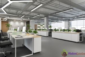 Sewa Bunga Dekorasi dan Tanaman Indoor Terbaik untuk Acara Elegan