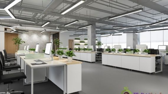Sewa Bunga Dekorasi dan Tanaman Indoor Terbaik untuk Acara Elegan