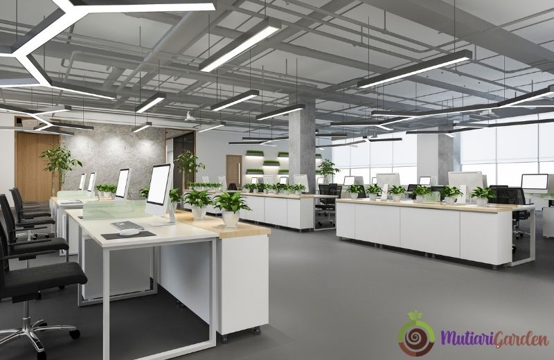 Sewa Bunga Dekorasi dan Tanaman Indoor Terbaik untuk Acara Elegan