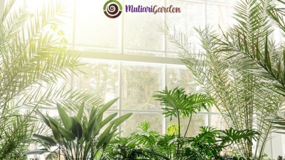 Sewa Bunga Hias untuk Dekorasi Acara agar Tampak Mewah dan Berkesan