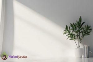 Sewa Pohon Dekorasi untuk Acara Lebih Elegan dan Natural