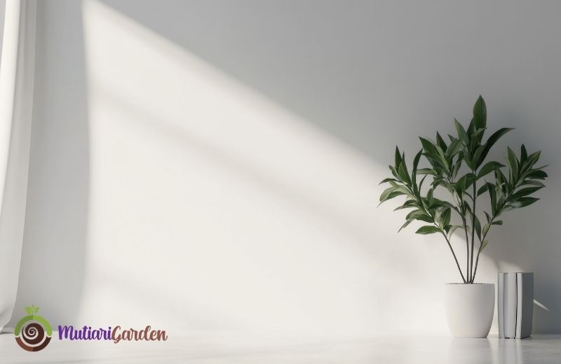 Sewa Pohon Dekorasi untuk Acara Lebih Elegan dan Natural