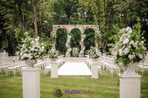 Sewa Pohon Wedding untuk Dekorasi Elegan
