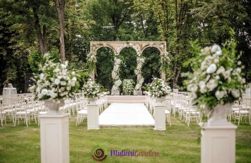 Sewa Pohon Wedding untuk Dekorasi Elegan