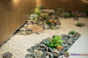 Sewa Pohon untuk Dekorasi Ruang dan Acara yang Lebih Hidup
