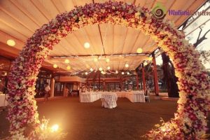 Sewa Tanaman Hias di Jakarta untuk Dekorasi Elegan dan Segar