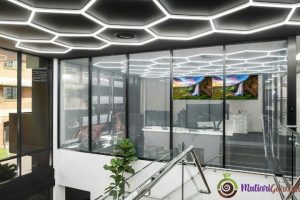 Sewa Tanaman Hias untuk Kantor agar Ruang Kerja Lebih Asri dan Produktif