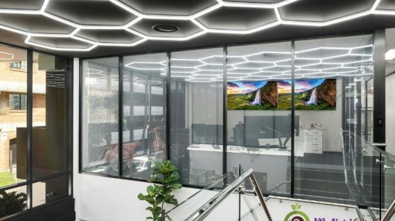 Sewa Tanaman Hias untuk Kantor agar Ruang Kerja Lebih Asri dan Produktif