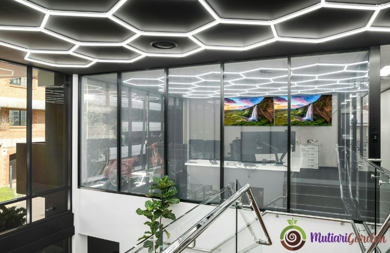 Sewa Tanaman Hias untuk Kantor agar Ruang Kerja Lebih Asri dan Produktif