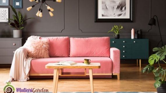 Sewa Tanaman Hias untuk Panggung yang Elegan dan Eksklusif dari MutiariGarden.com