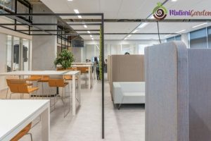 Sewa Tanaman Indoor untuk Dekorasi Ruangan yang Elegan dan Menenangkan