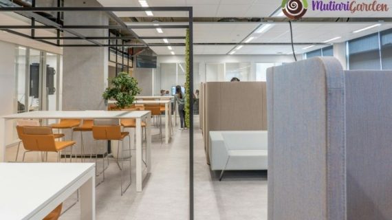 Sewa Tanaman Indoor untuk Dekorasi Ruangan yang Elegan dan Menenangkan