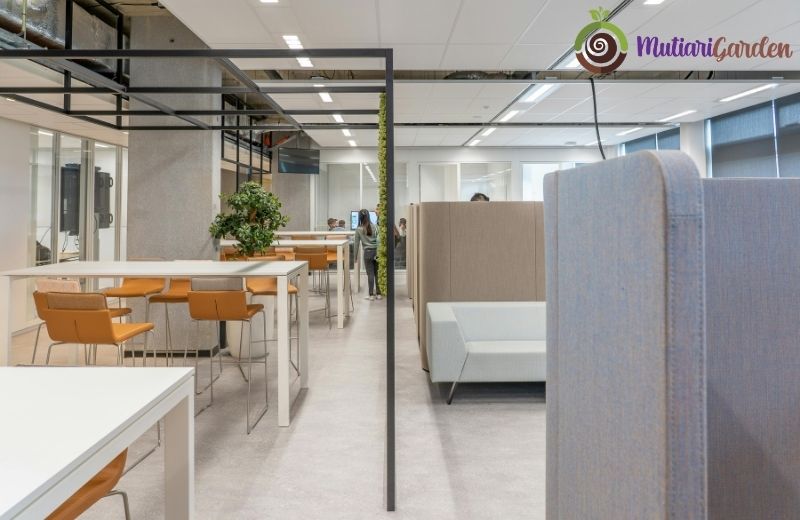 Sewa Tanaman Indoor untuk Dekorasi Ruangan yang Elegan dan Menenangkan