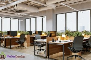 Sewa Tanaman untuk Kantor Membuat Ruang Kerja Lebih Segar dan Produktif