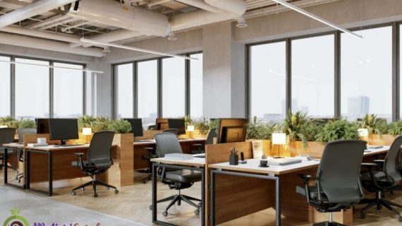 Sewa Tanaman untuk Kantor Membuat Ruang Kerja Lebih Segar dan Produktif
