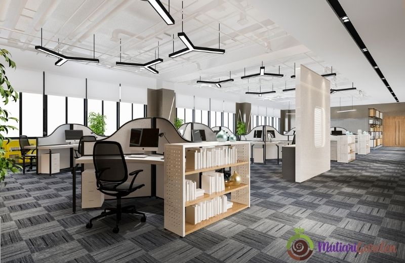 Sewa Tanaman untuk Kantor dan Dekorasi Profesional dari MutiariGarden.com
