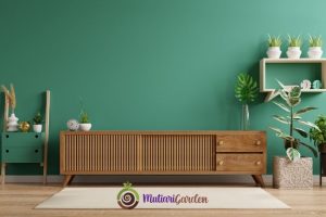 Tanaman Buat Ruang Tamu yang Cantik dan Menyegarkan