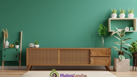 Tanaman Buat Ruang Tamu yang Cantik dan Menyegarkan
