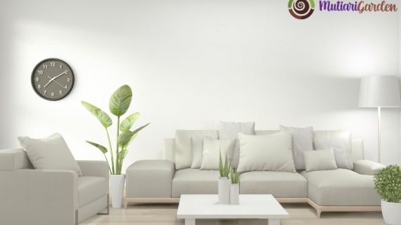 Tanaman Dalam Ruangan AC yang Tetap Sehat dan Indah