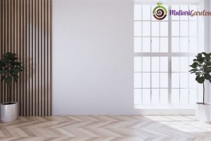 Tanaman dalam Rumah yang Cantik dan Menyegarkan Ruangan
