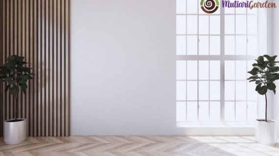 Tanaman dalam Rumah yang Cantik dan Menyegarkan Ruangan