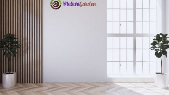 Tips Memilih dan Merawat Tanaman Hias di Rumah untuk Suasana Asri dan Sehat