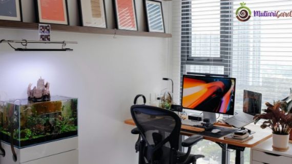 Sewa Tanaman Hias di Kantor untuk Meningkatkan Kualitas Lingkungan Kerja dan Produktivitas Karyawan