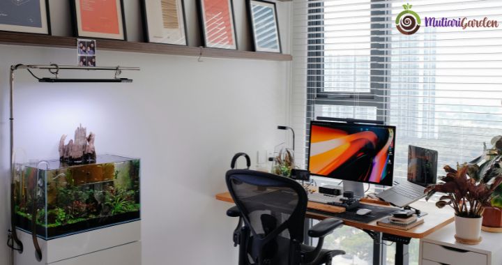 Sewa Tanaman Hias di Kantor