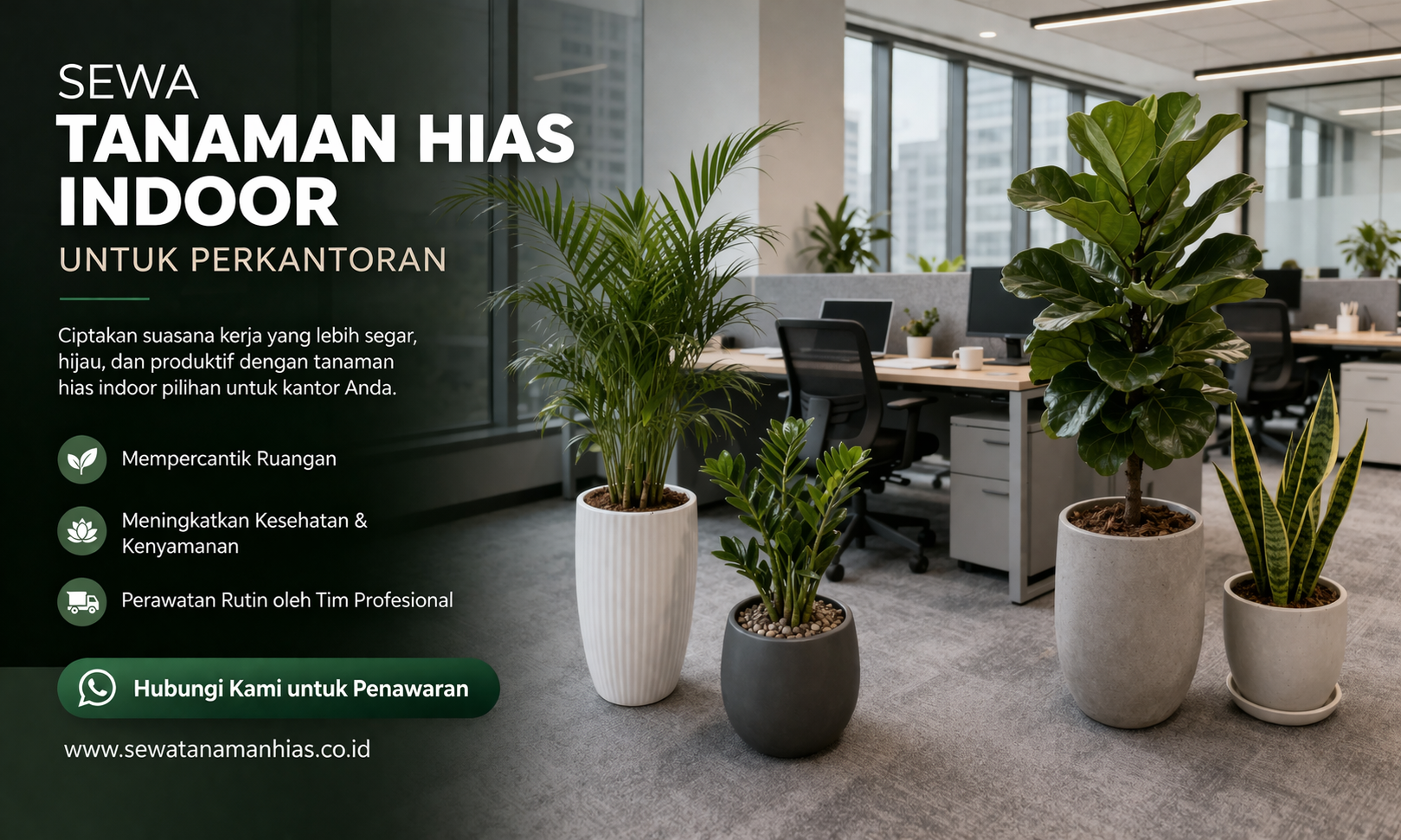 sewa tanaman hias kantor