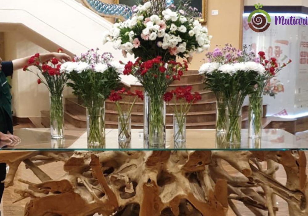 Sewa Tanaman hotel